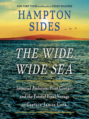 cover image of The Wide Wide Sea